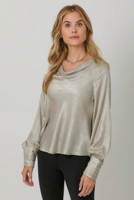 Metallic Shine Blouse